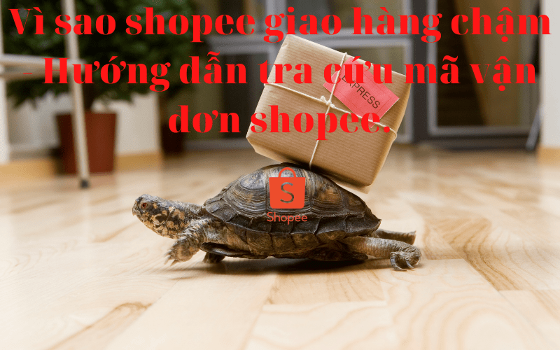 Vì sao shopee giao hàng chậm