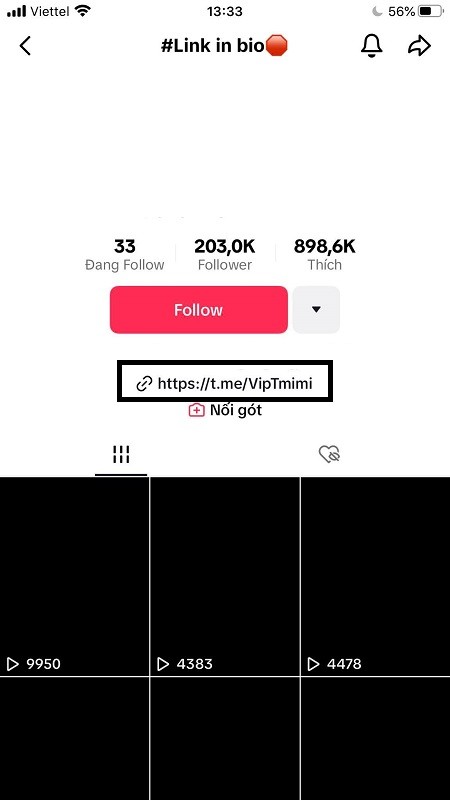 link bio tiktok la gi