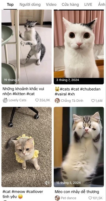video theo chu de hot tiktok